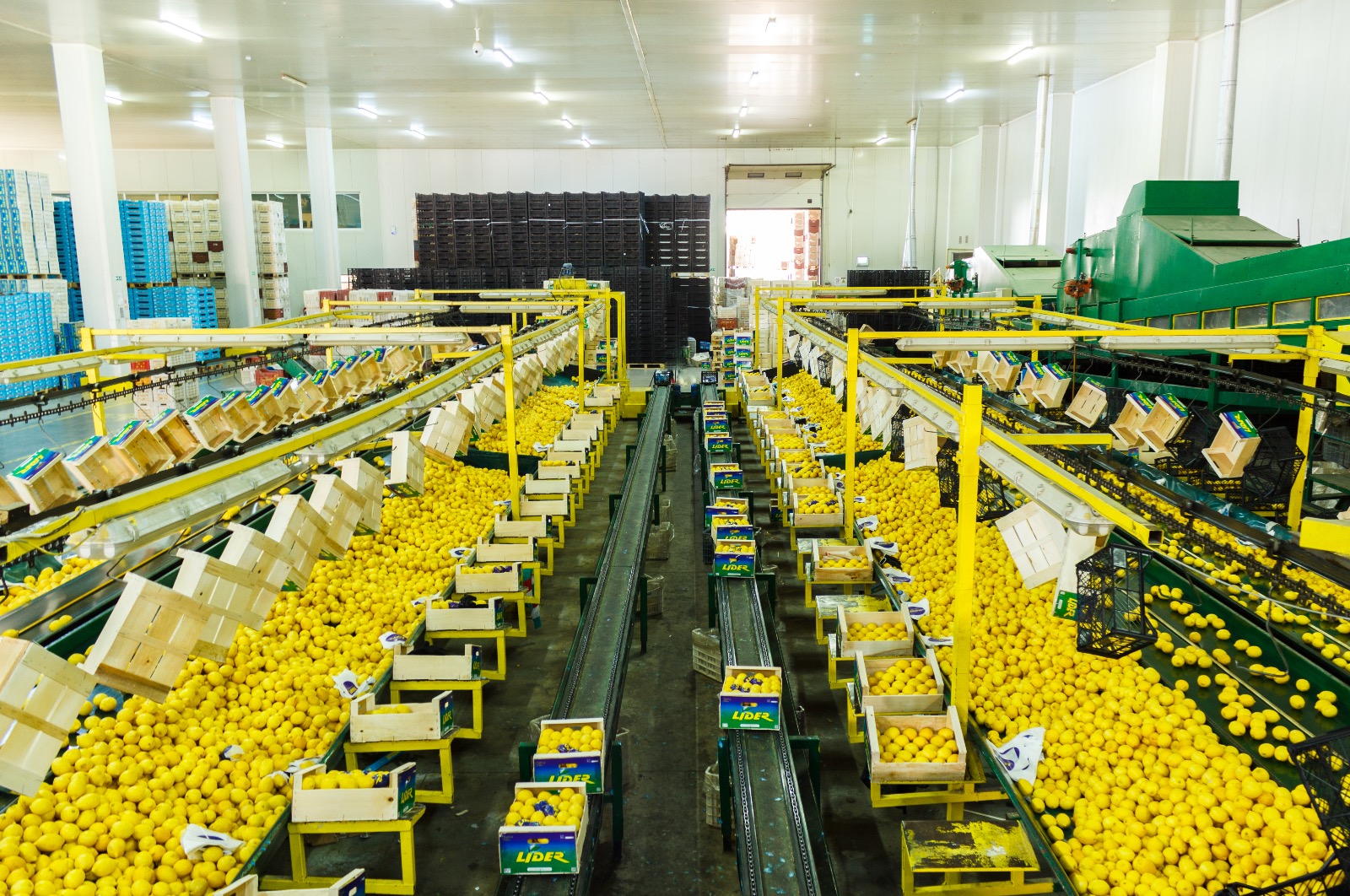 Karagözler Gıda Fabrika Lemon Factory